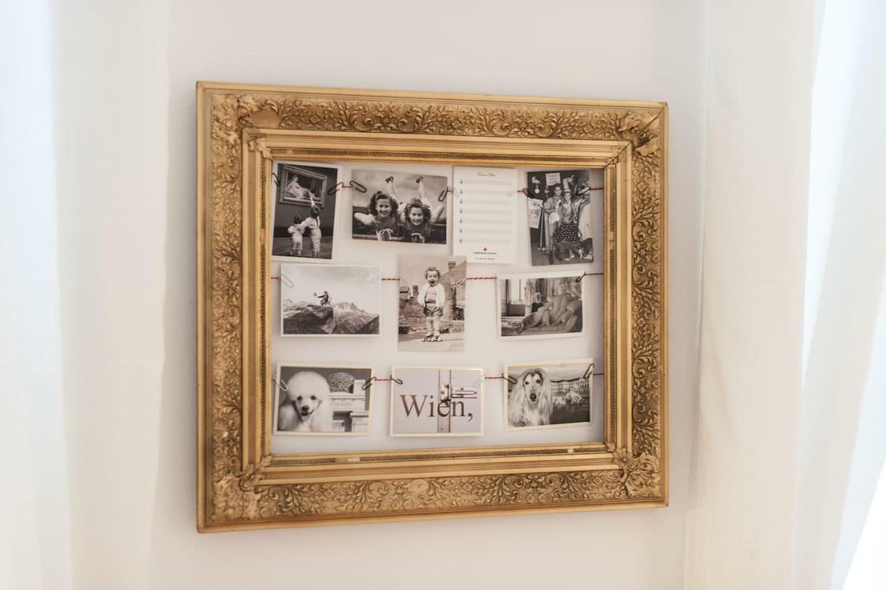 וינה Lovely Apartments In A Quiet Area Close To The City Center מראה חיצוני תמונה